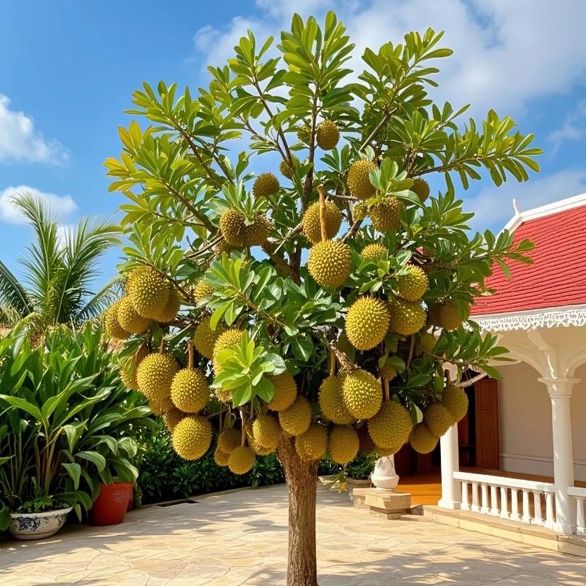 岁月静好养身静心