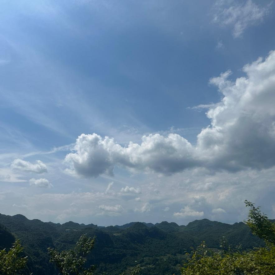 小W