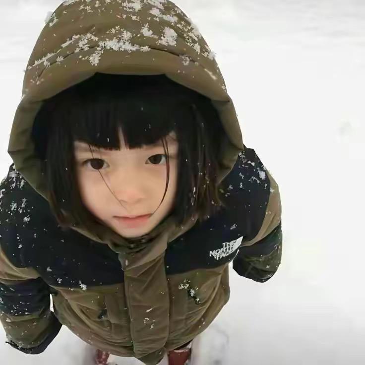 网友；