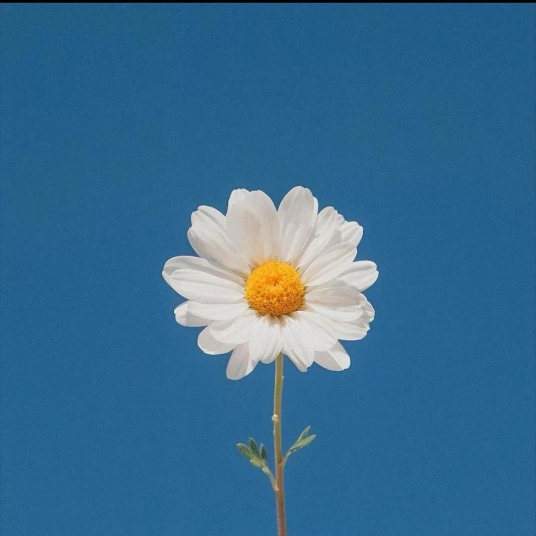 你好好好好好邦