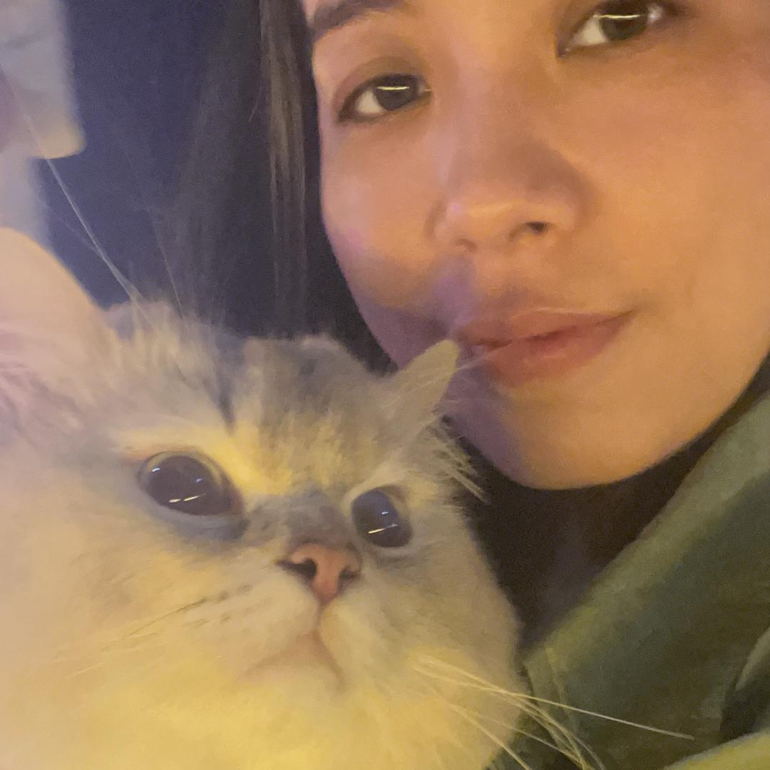 张柚子好物推荐