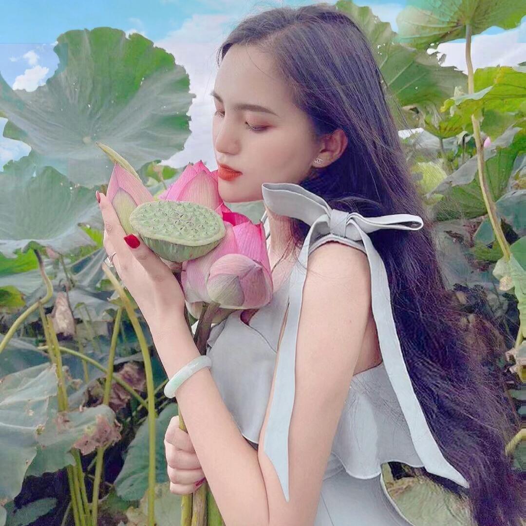 Dao琴.