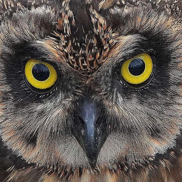Kit