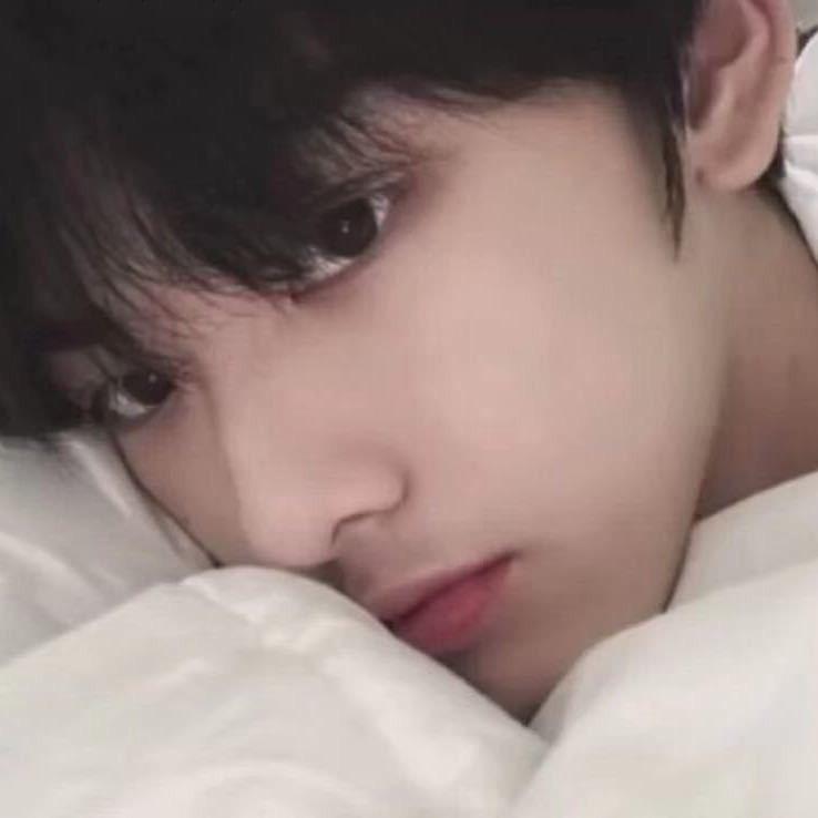 暖树🌙