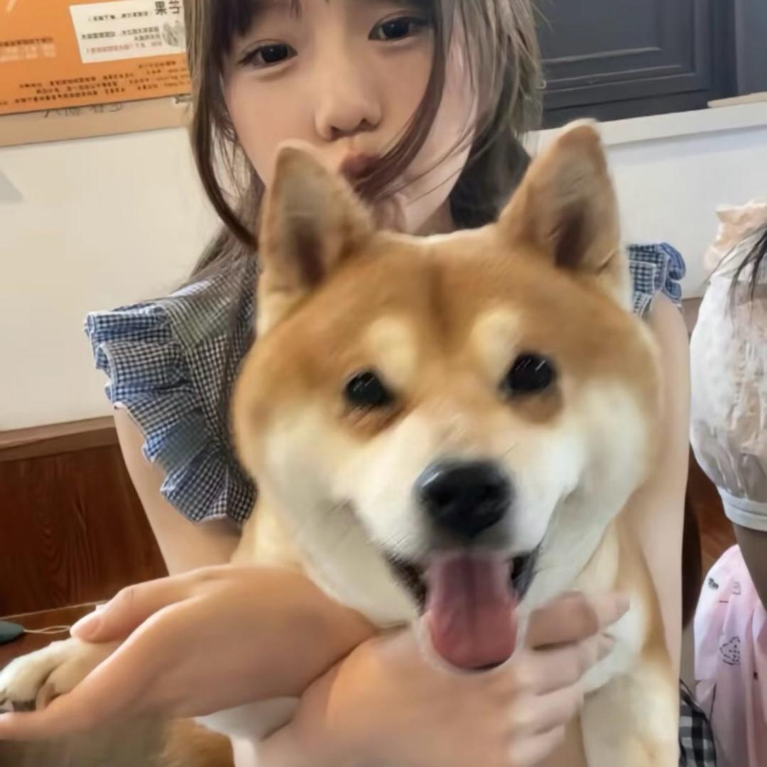 多 多