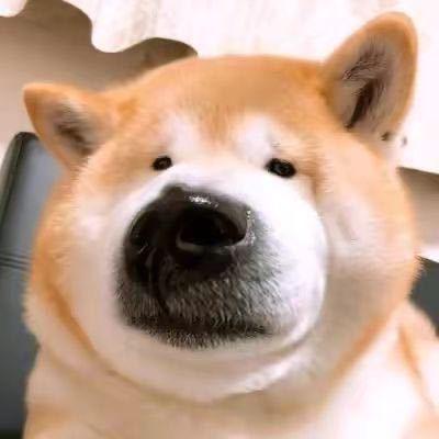 JayWangxx