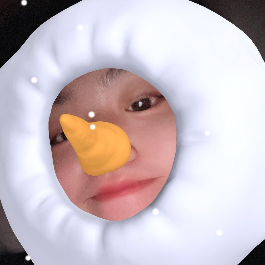 ☃️劉诗豪☃️