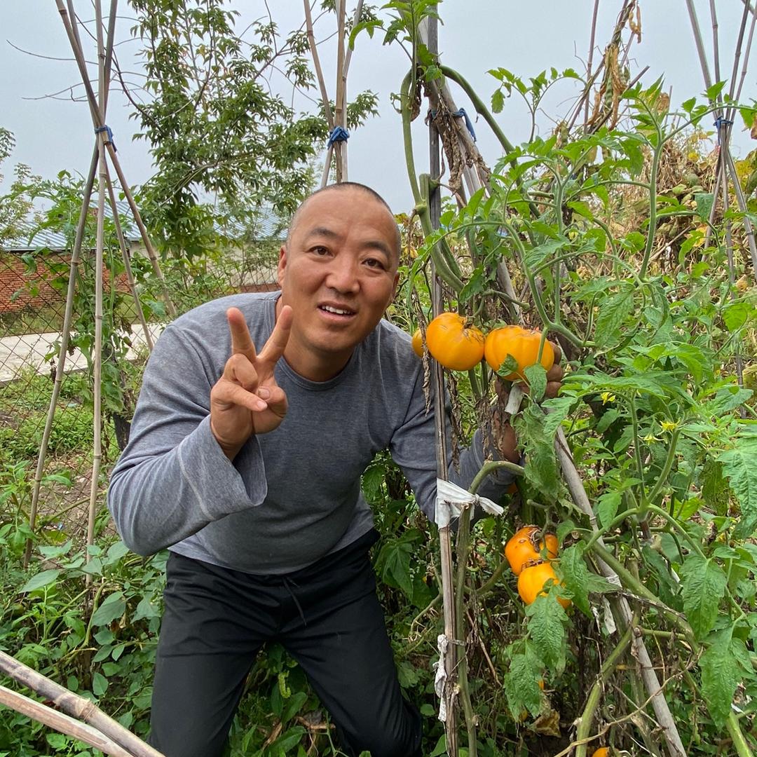 农村老海