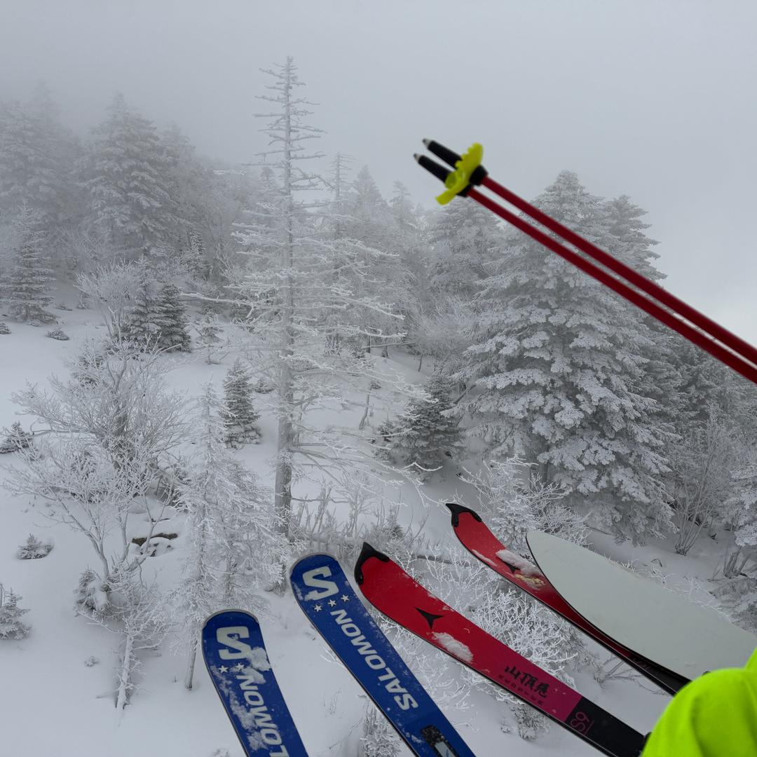 能不能找回我自己 一束光 尼姑辣丝儿