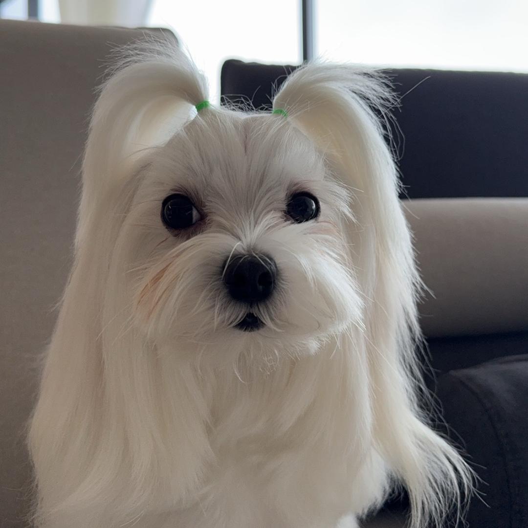 谢妹妹