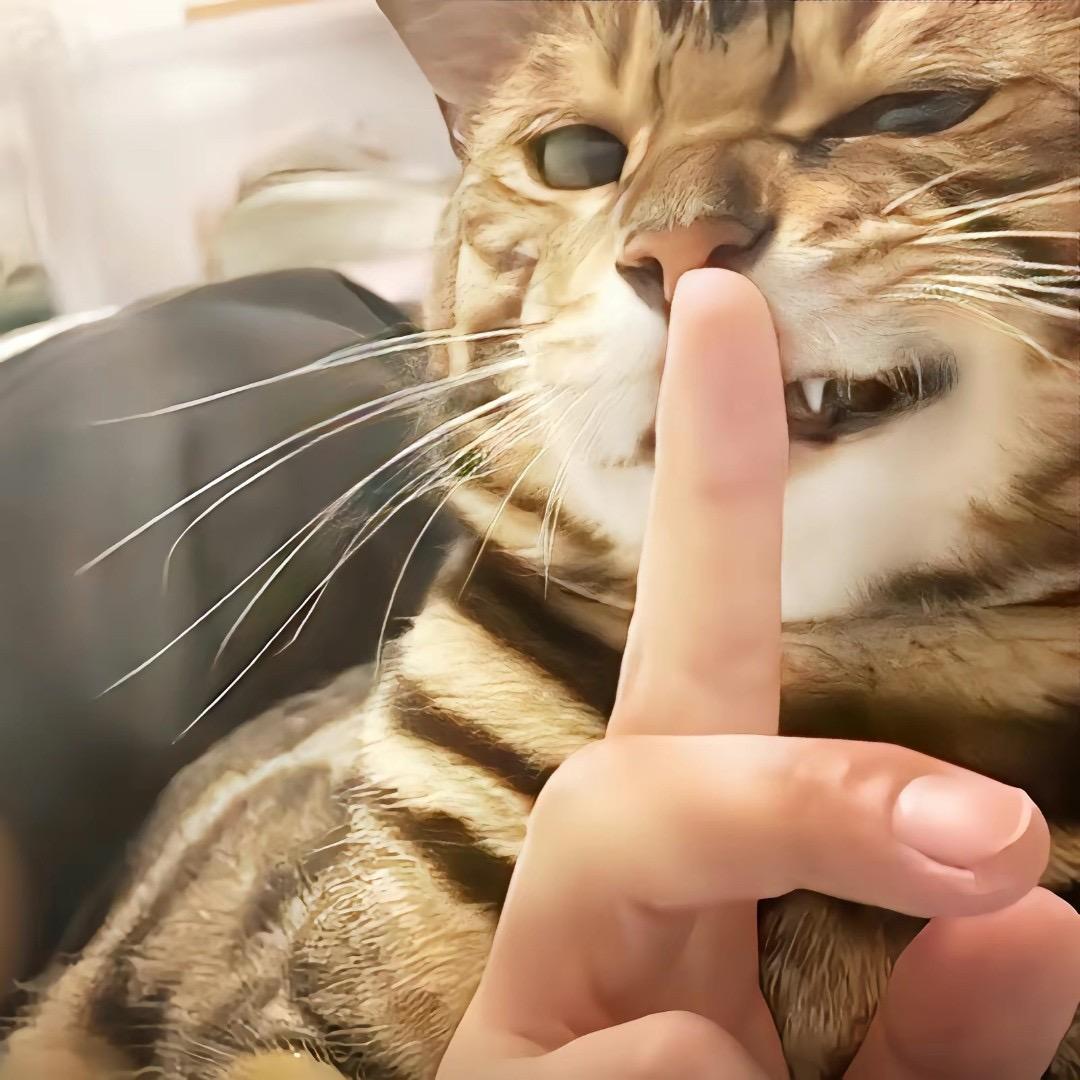 玖玥