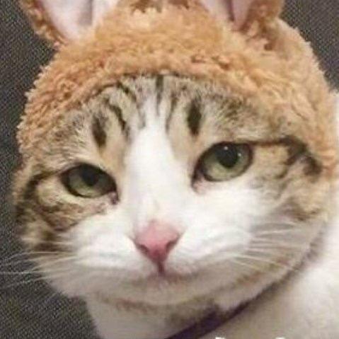三玖