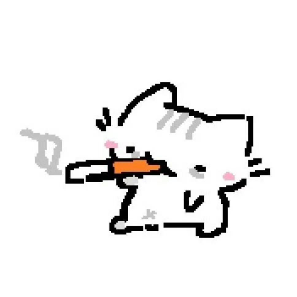 冬青叶