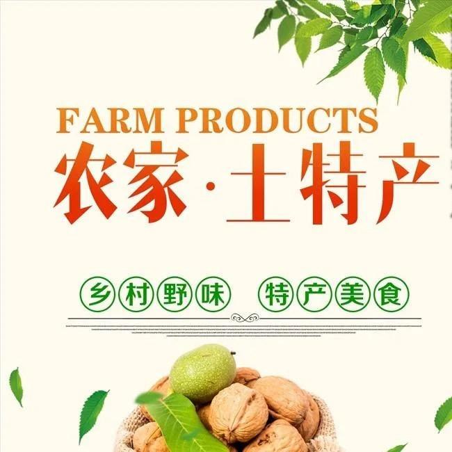 小明哥好物分享