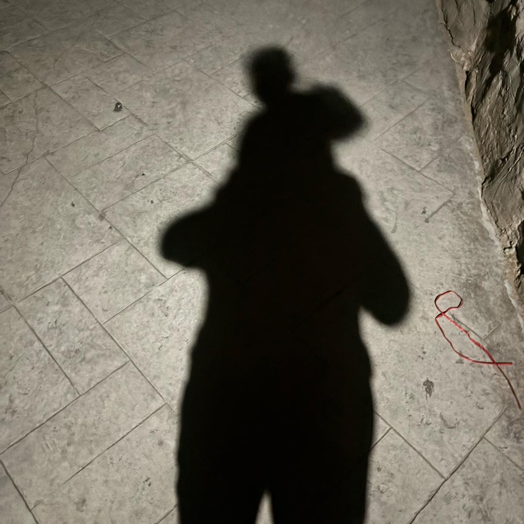 不叛逆的鲁鲁修