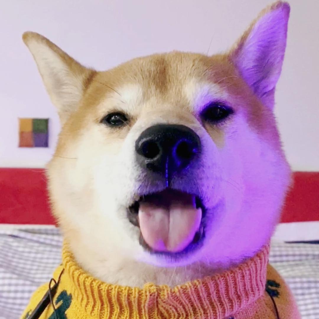 小目家族