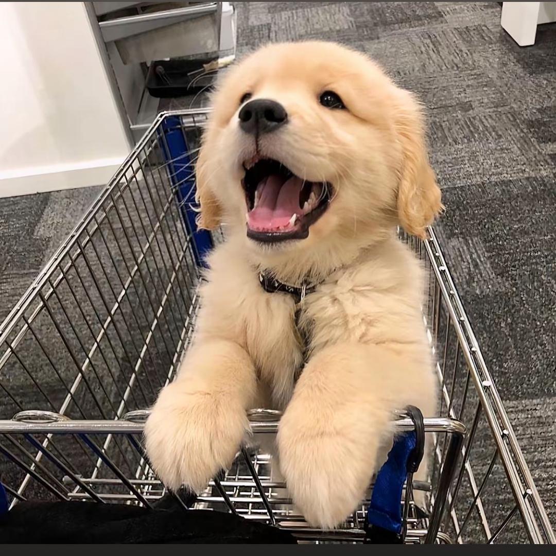 期末急救侠（成工版）