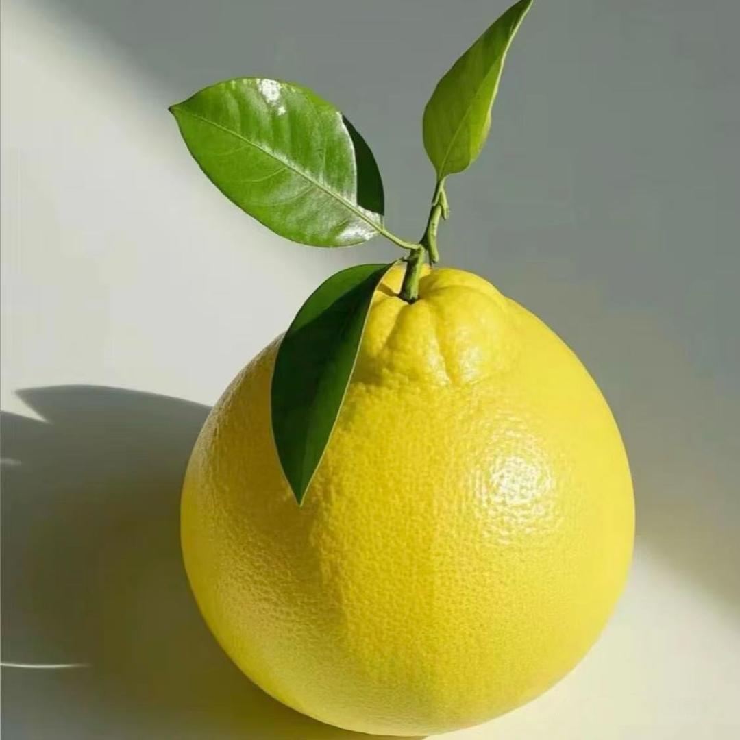 霖