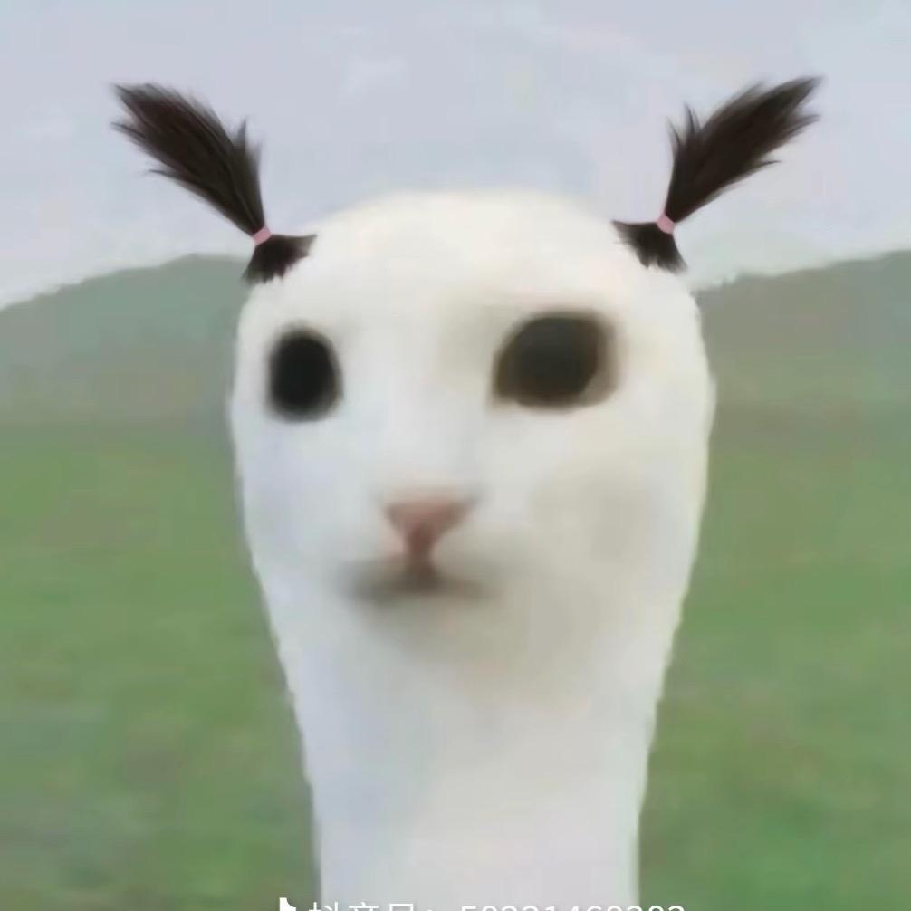 泡泡.🫧