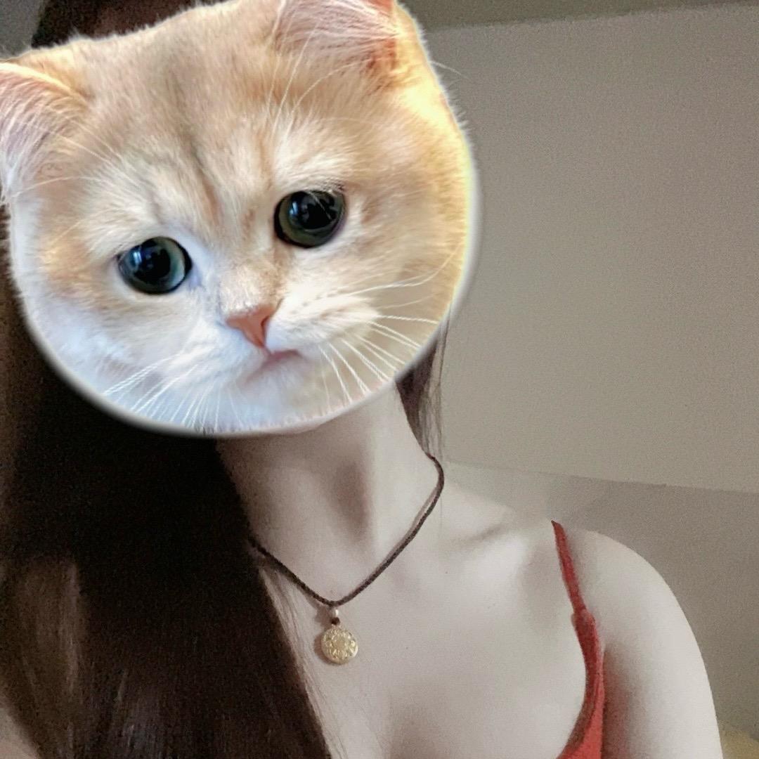 刘亦菲.