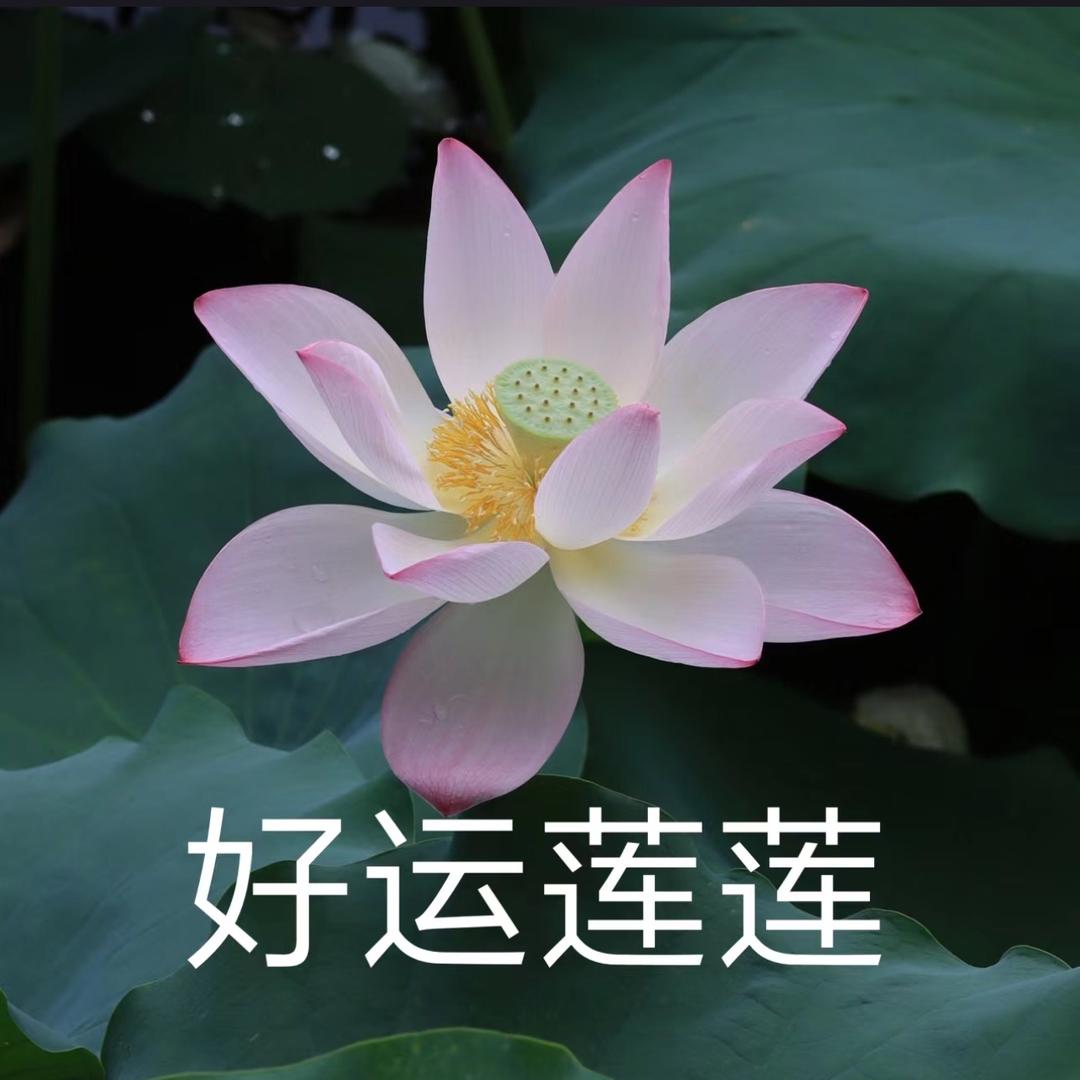 一米四六