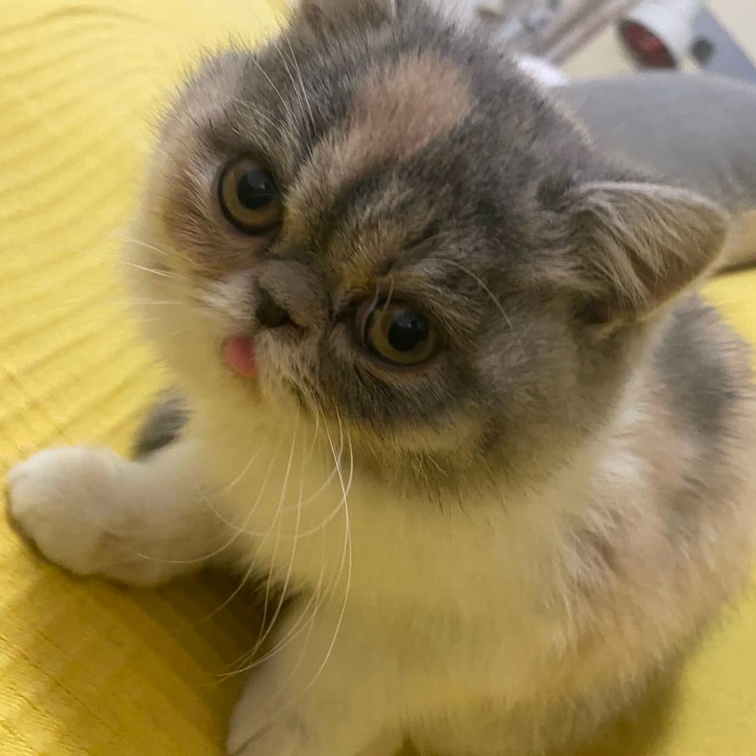 ～有趣