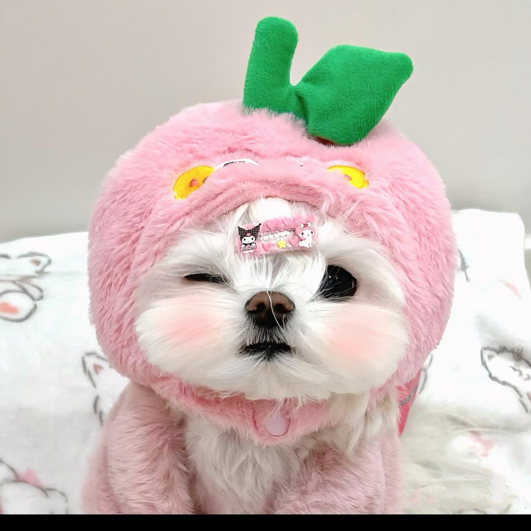 🌈黄旻允