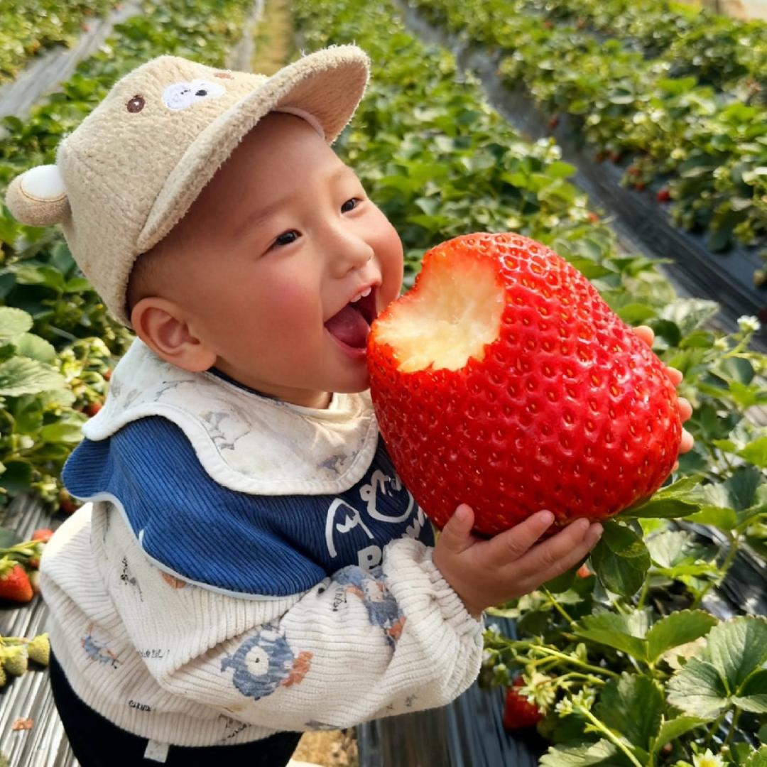 上坊乡高墩江南草莓园（西环加油站旁）