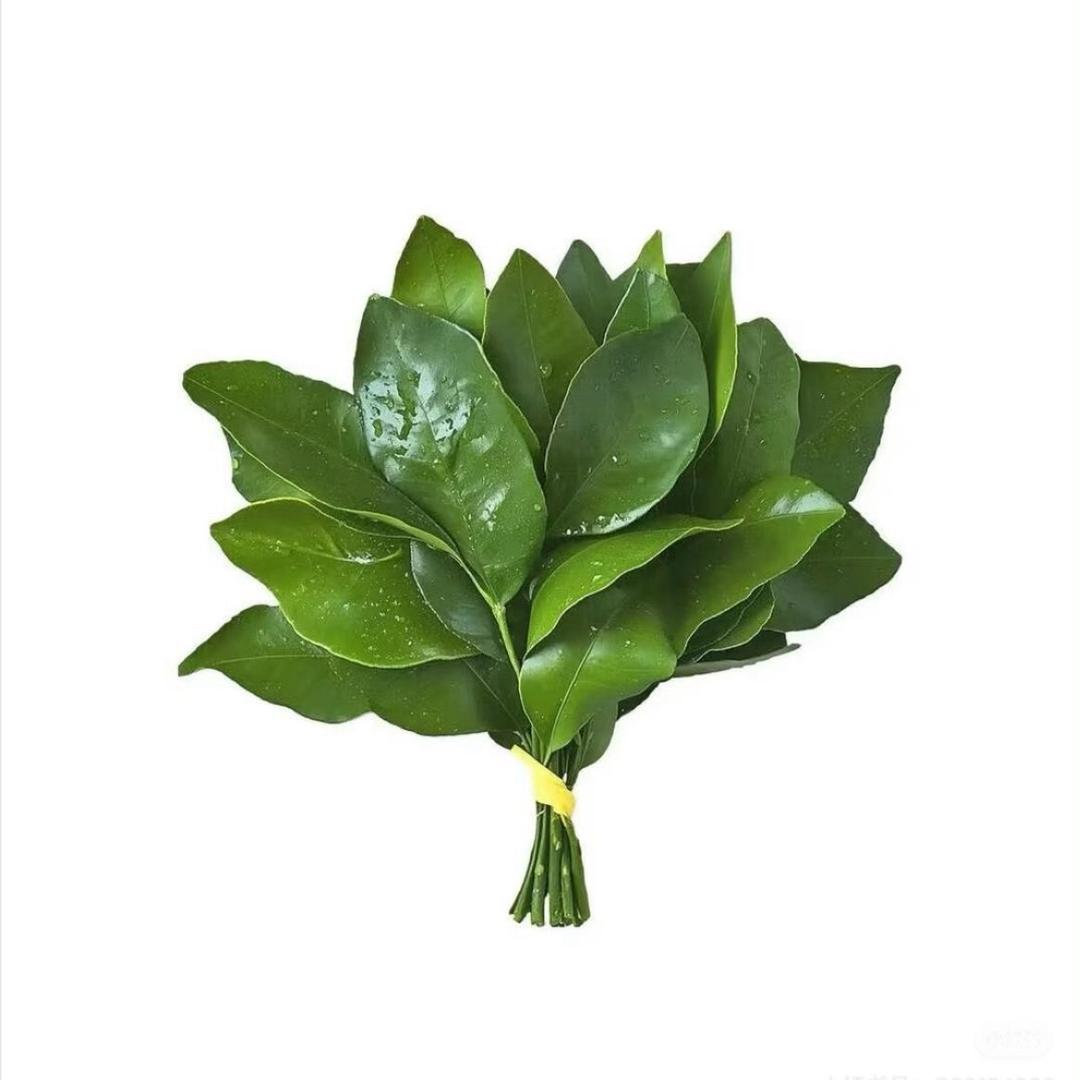 温和的开水