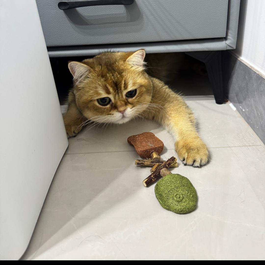 kiki