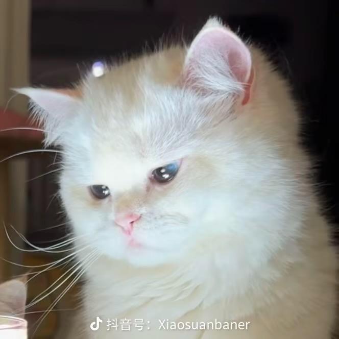 小函南波万
