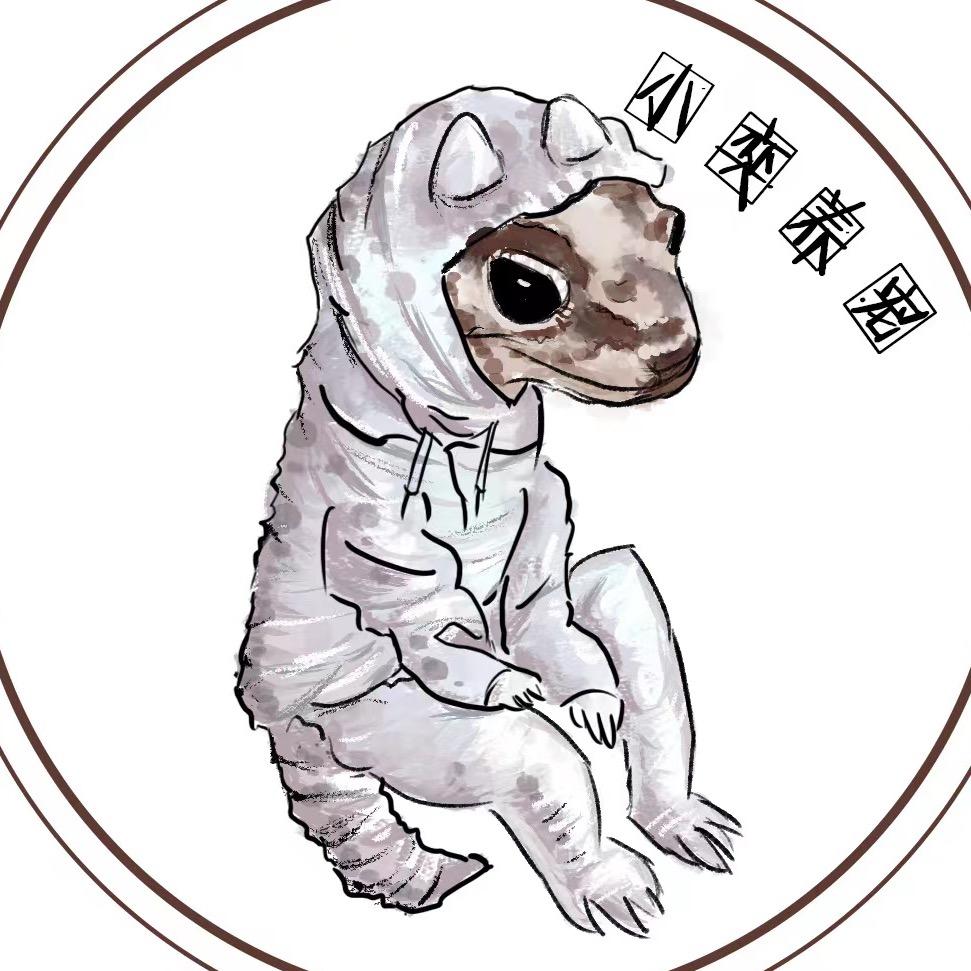 守宫小奕爬宠😺