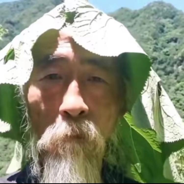 旺旺掀被