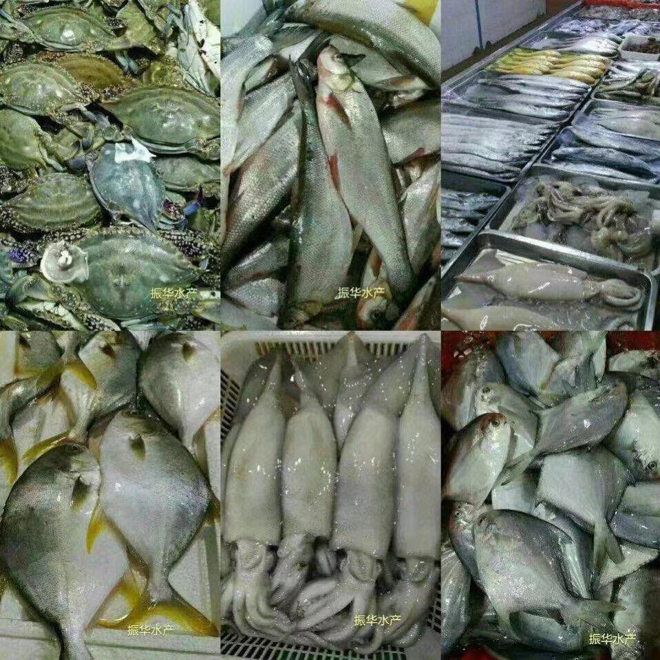 泗水县泗河办振华水产品批发部