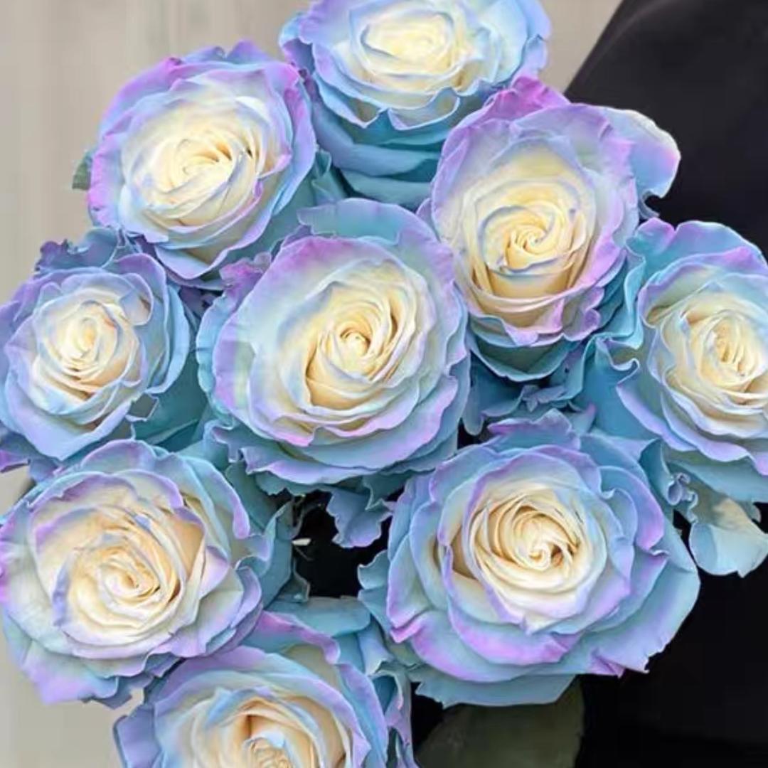 ROSE 粉黛