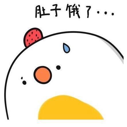 一只流浪的白瓜