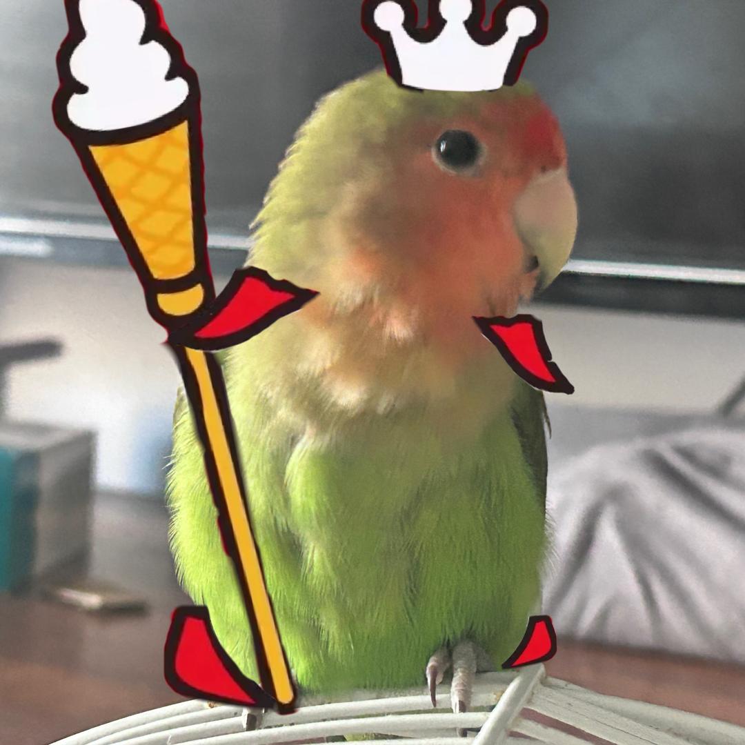 爱吃喝玩乐的英子