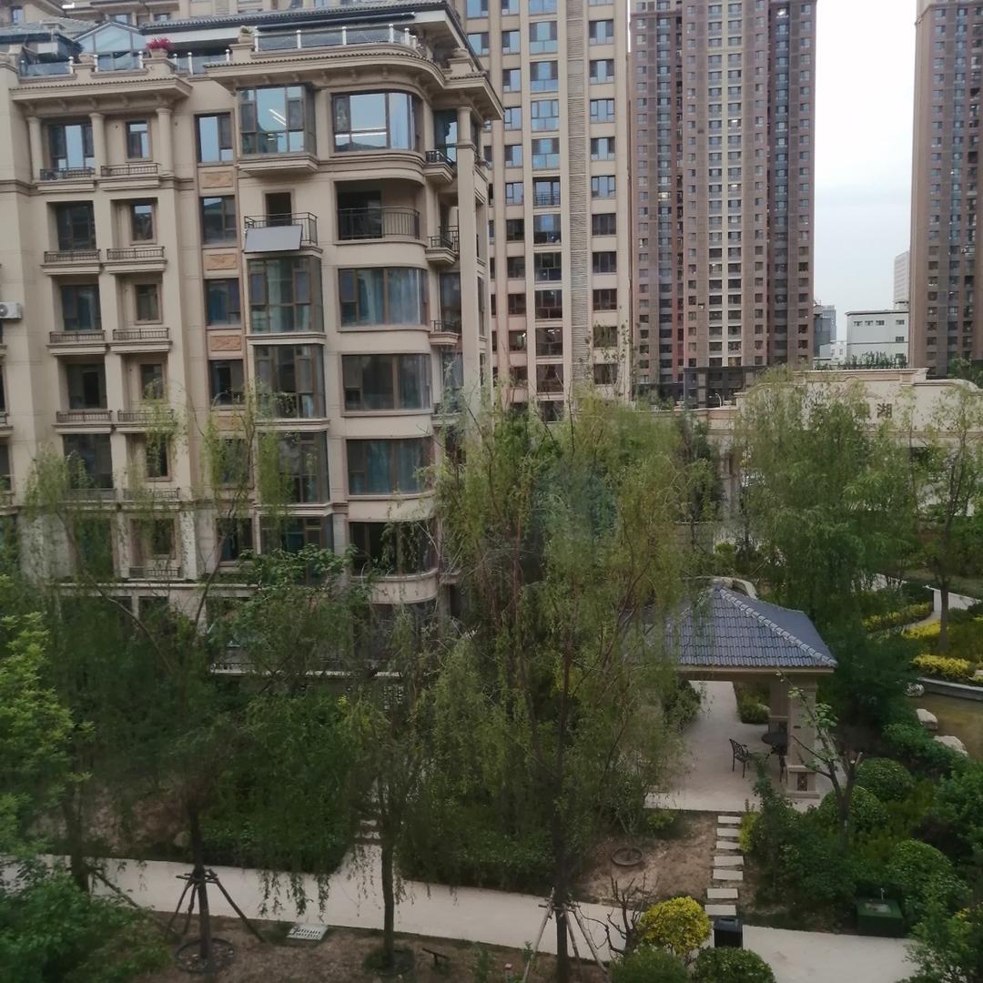 金色太阳