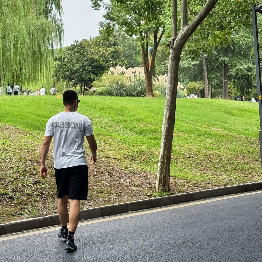 飞的 2.0