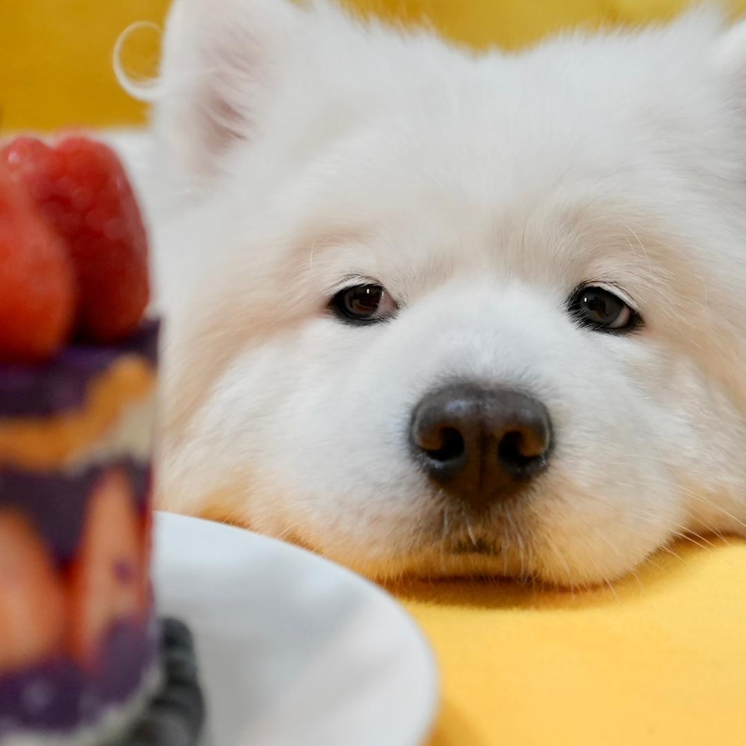 海珠丨李奶奶®💜 ୧⍤⃝✨    🦟