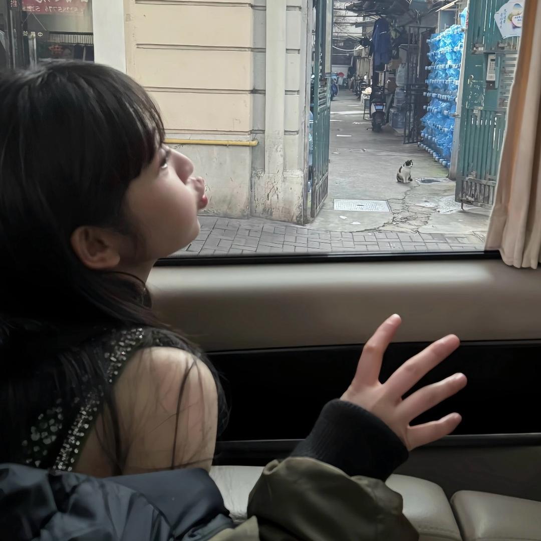 海绵崽