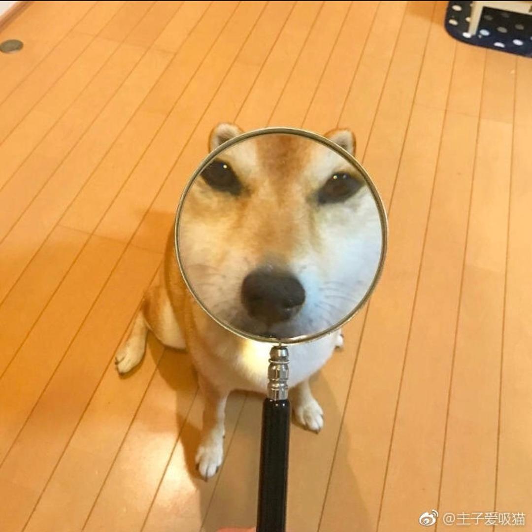 奖奖讲直播（招人）
