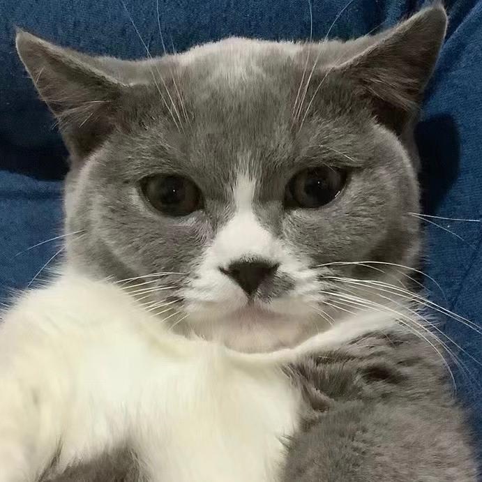请叫我团少爷😎