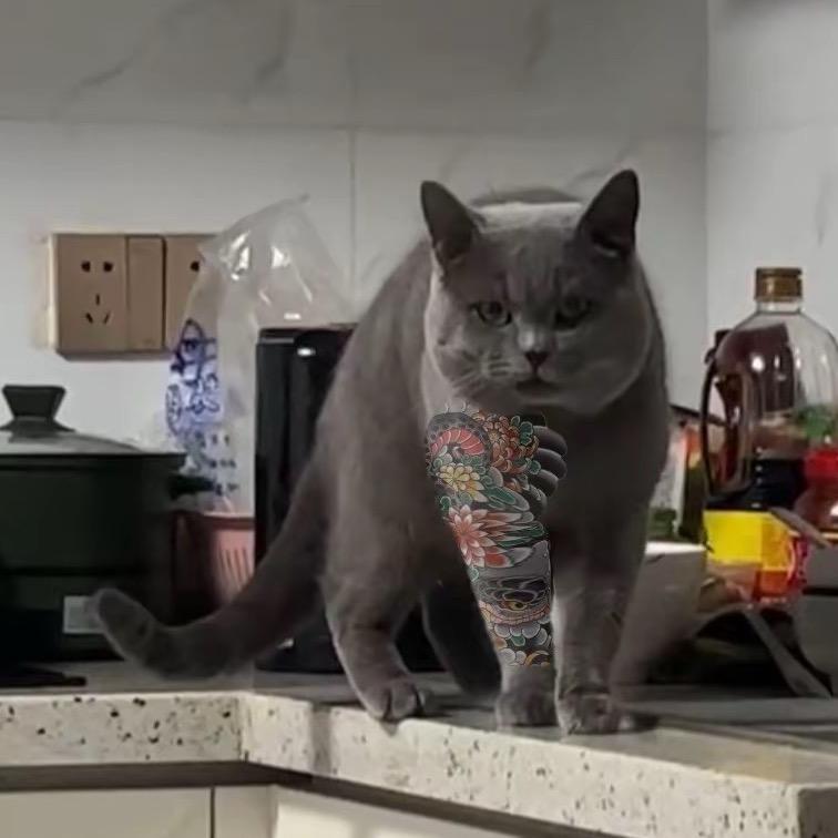 天生臭脸