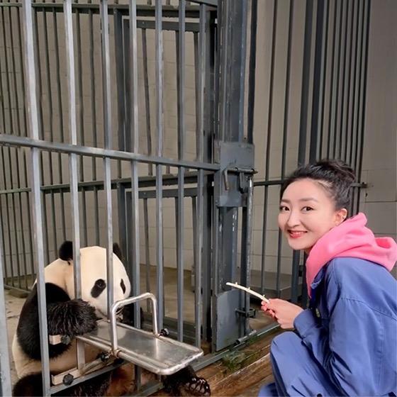 竹林之宝