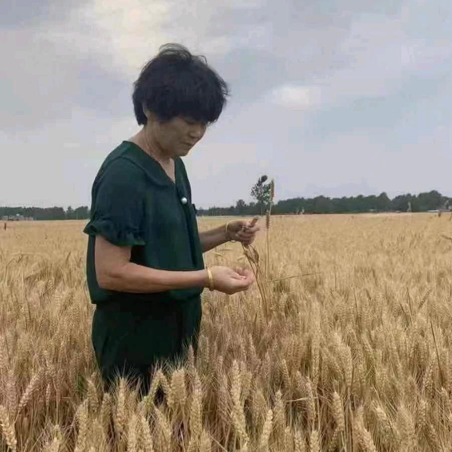 女强人，琼海清补凉。