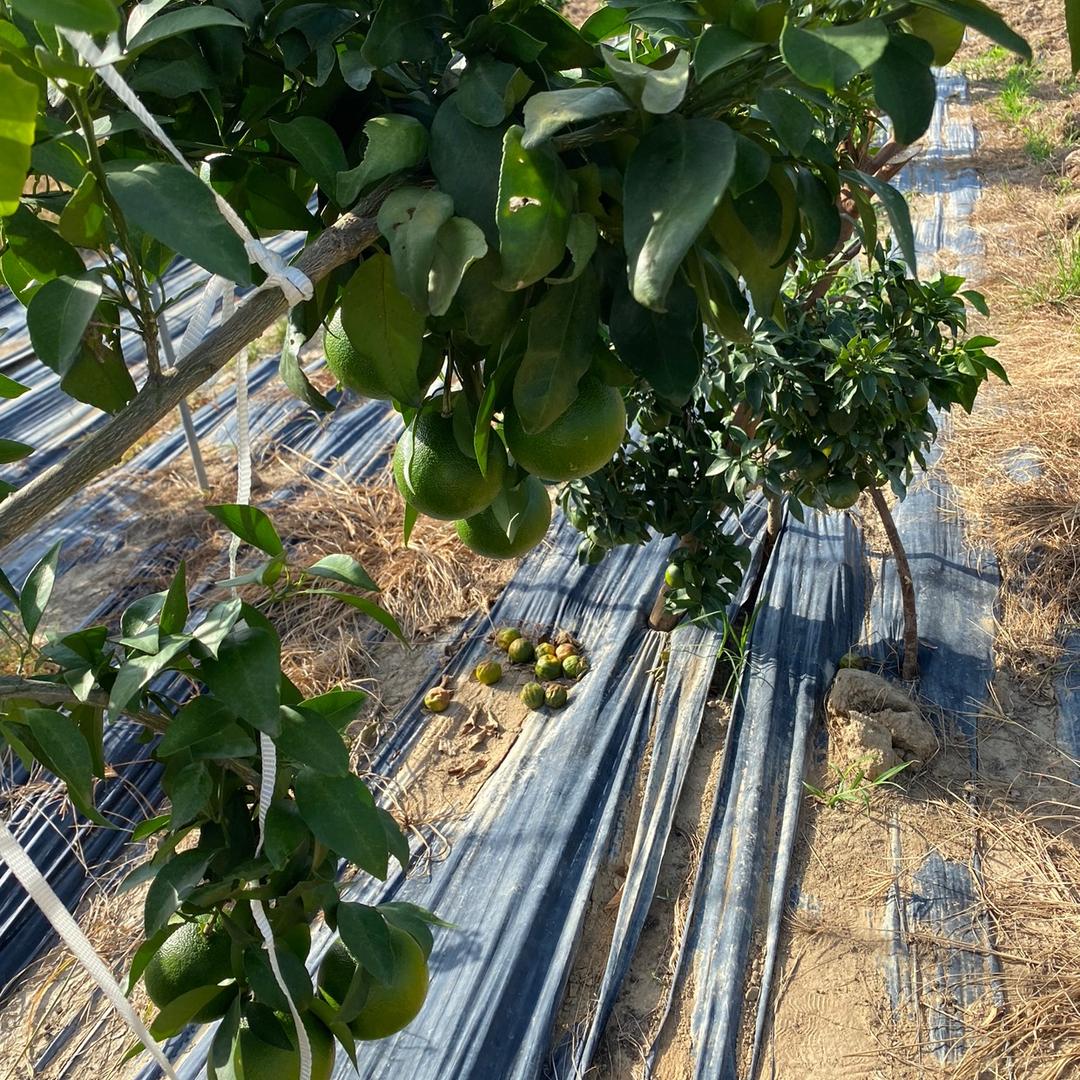 宁波聚成涂料科技