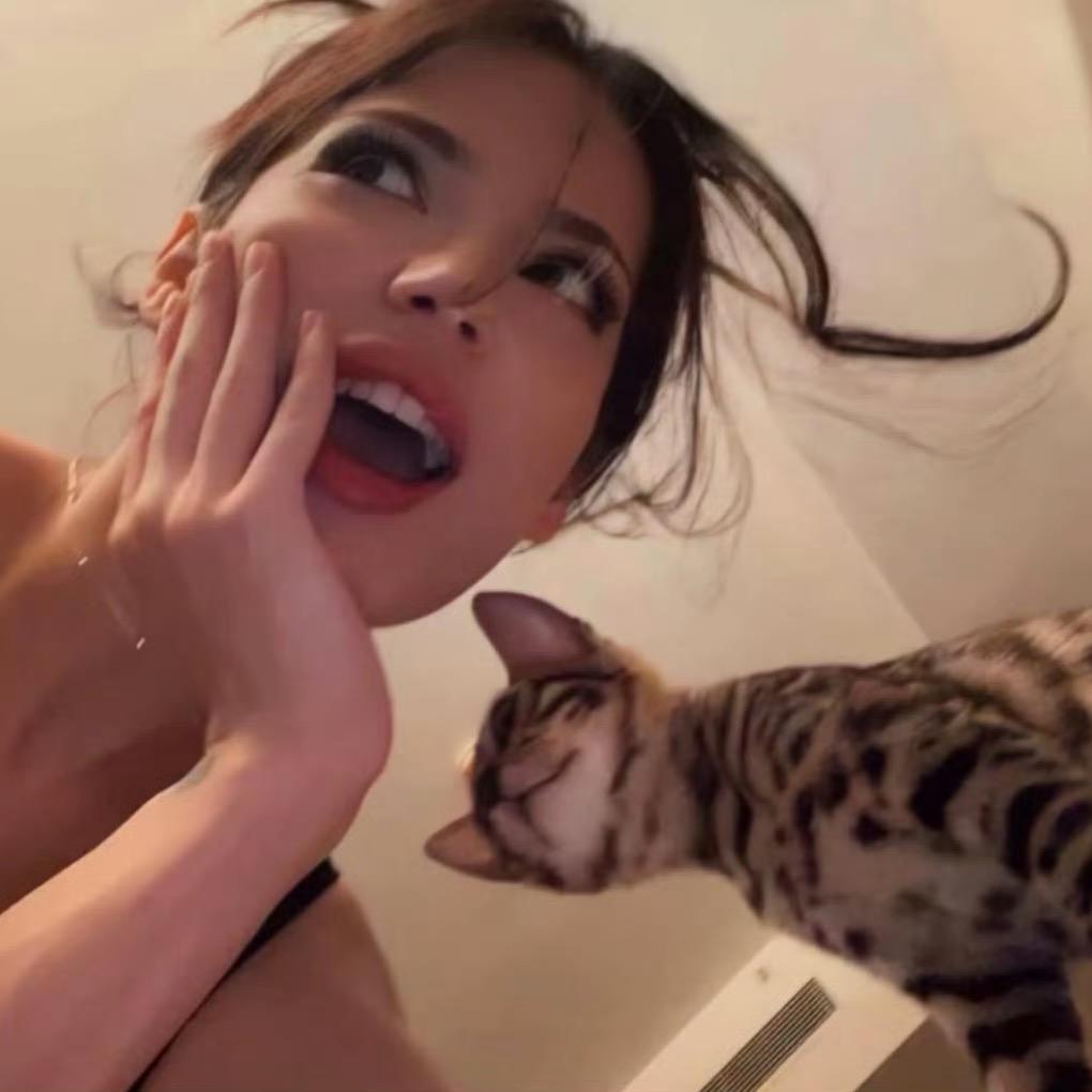 爱丽