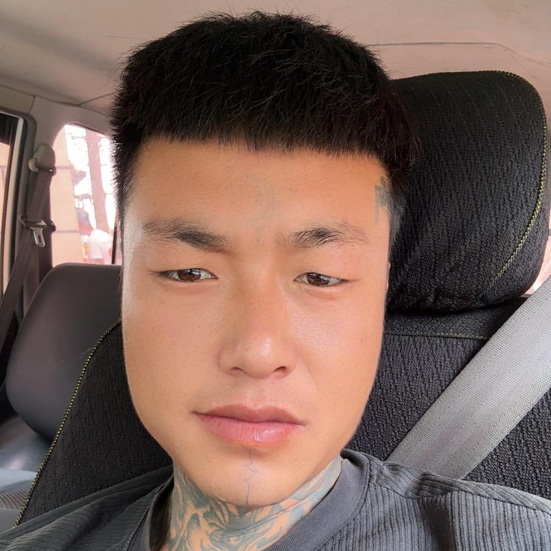 黑马 大飞