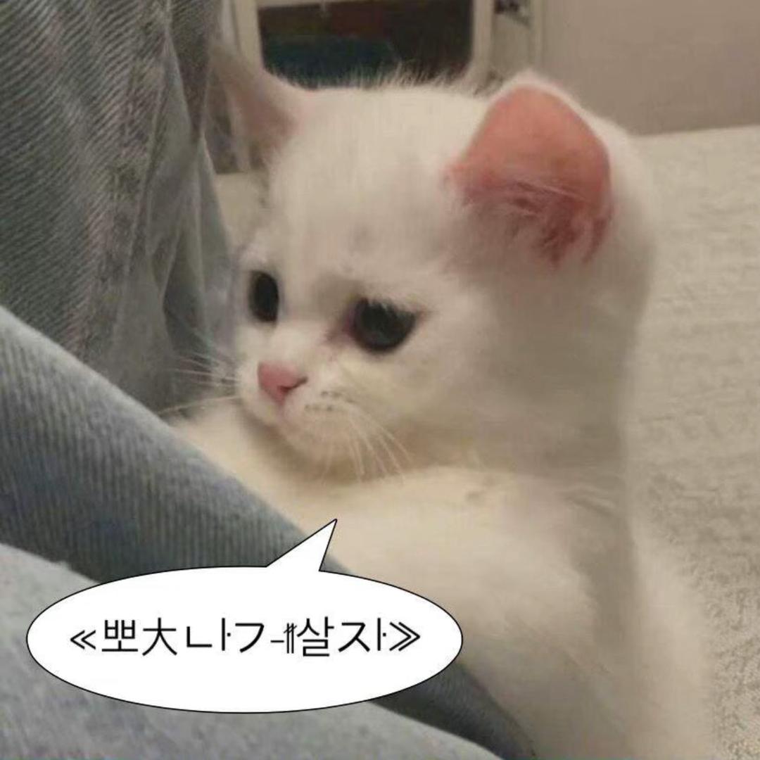 许星纯